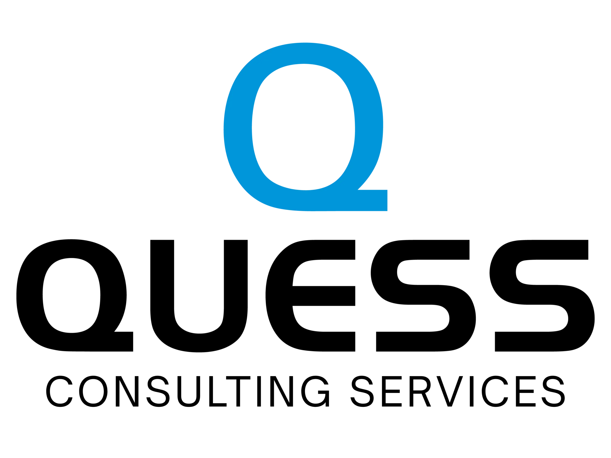 Quess Consulting Services